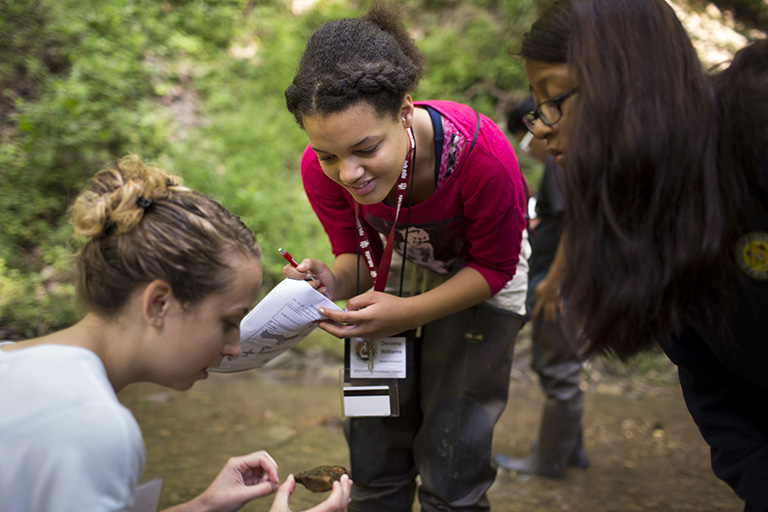 Students examine an object found in nature.